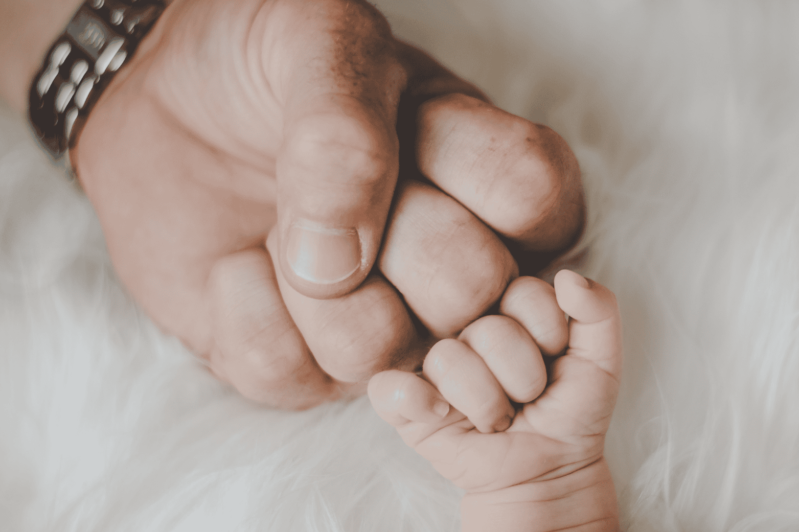 Parent holding baby's hand